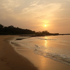 Poilão - João Vieira