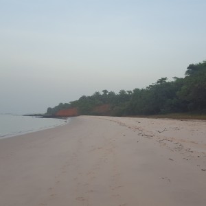 Ilha de Orango